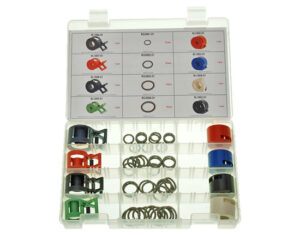 springlok_kit_6